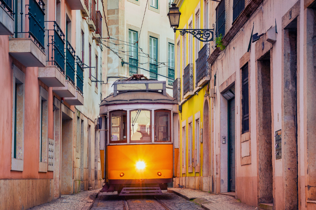 The top restaurants in Lisbon for your next city escape