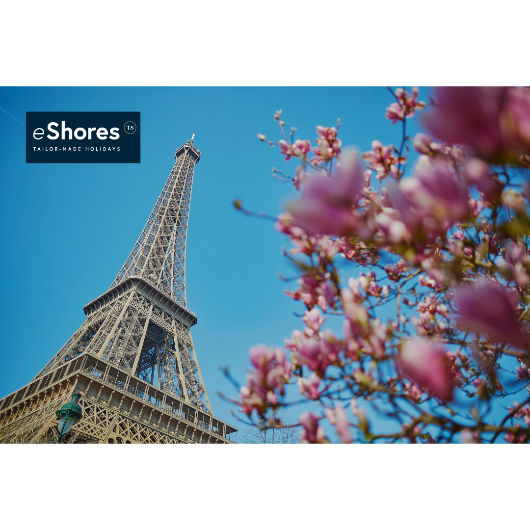 A Culinary Escape – Flavours of France